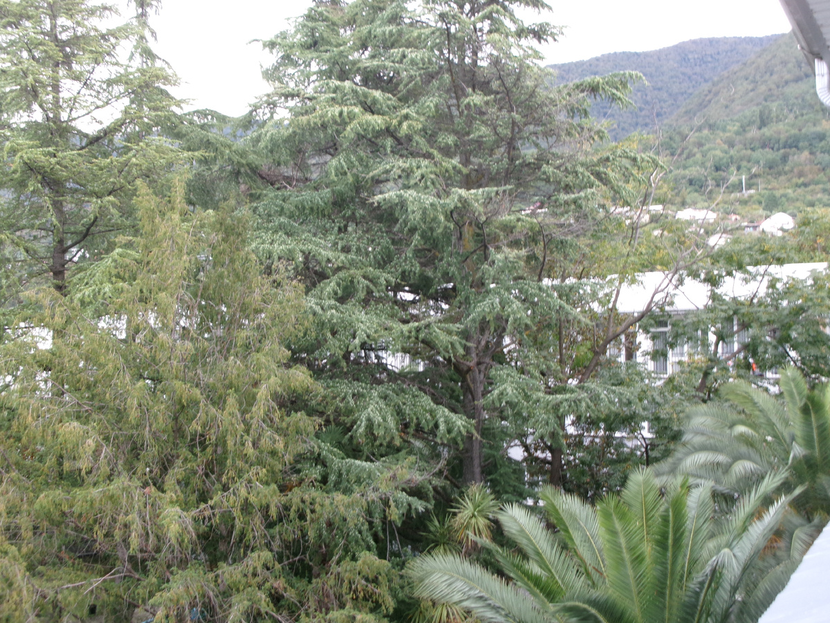 фото автора  Абхазия