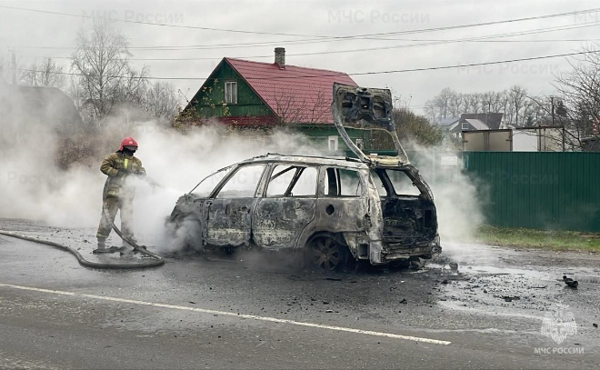    © Пресс-служба ГУ МЧС по Ленинградской области