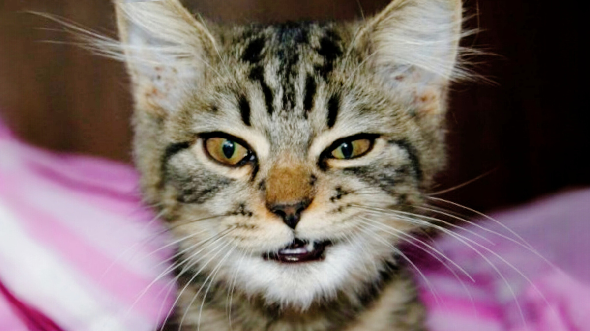 В моем присуствии у людей появляются особые таланты!