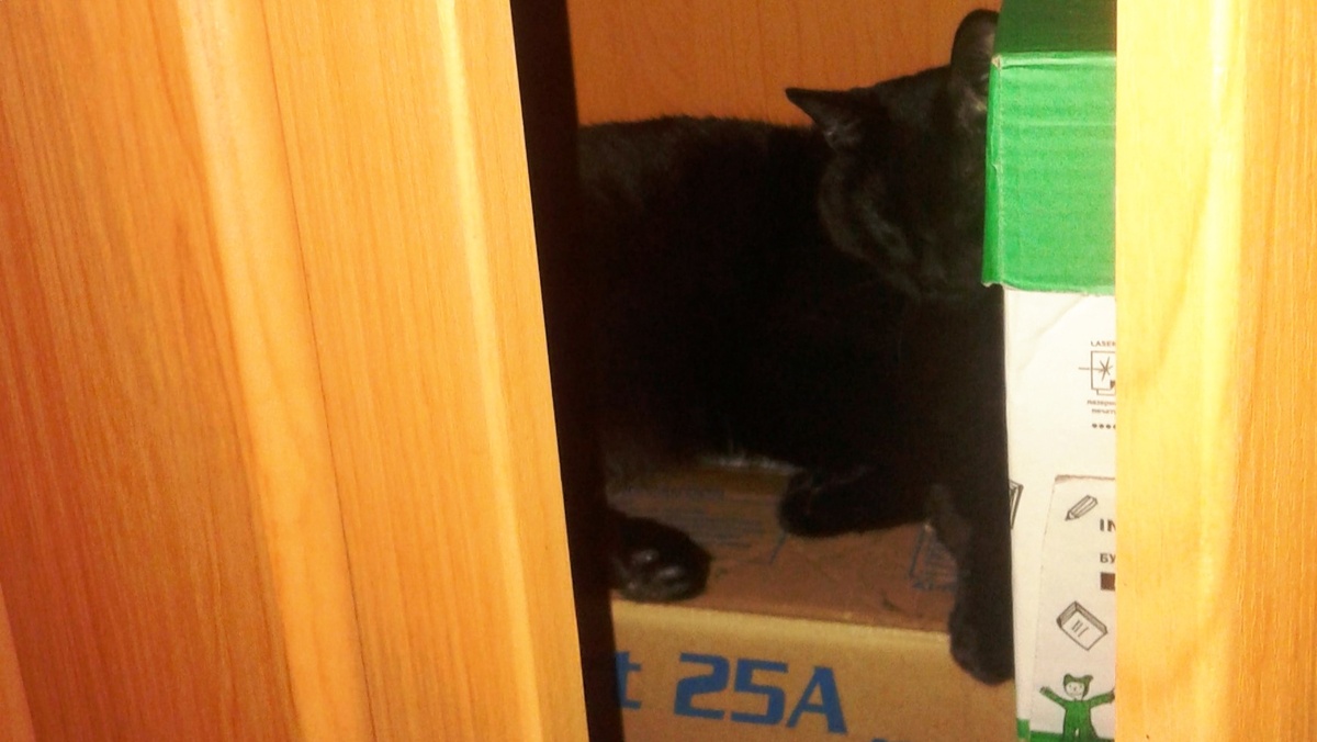 А шкафу смотрел? 