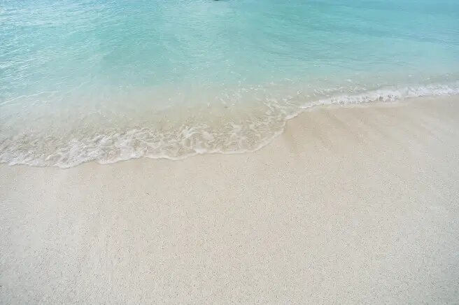     © РИА Новости. Александр Ковалев