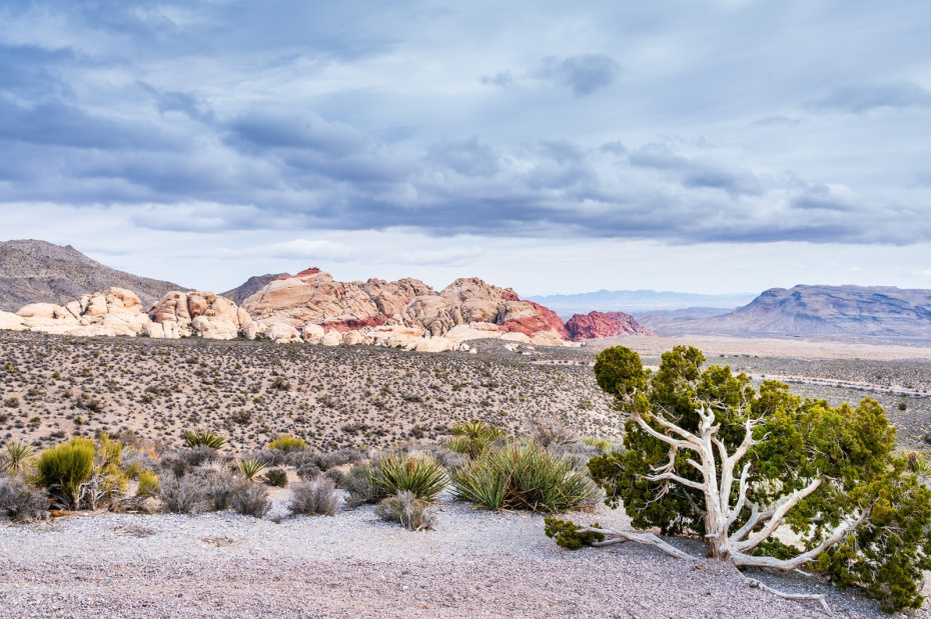    Shutterstock/FOTODOM