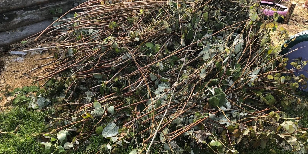 Никогда не сжигайте ветки от малины после обрезки. Простейший способ за зиму превратить их в ценнейшее удобрение