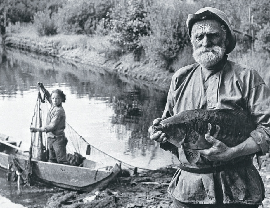 Фото для оформления заметки...