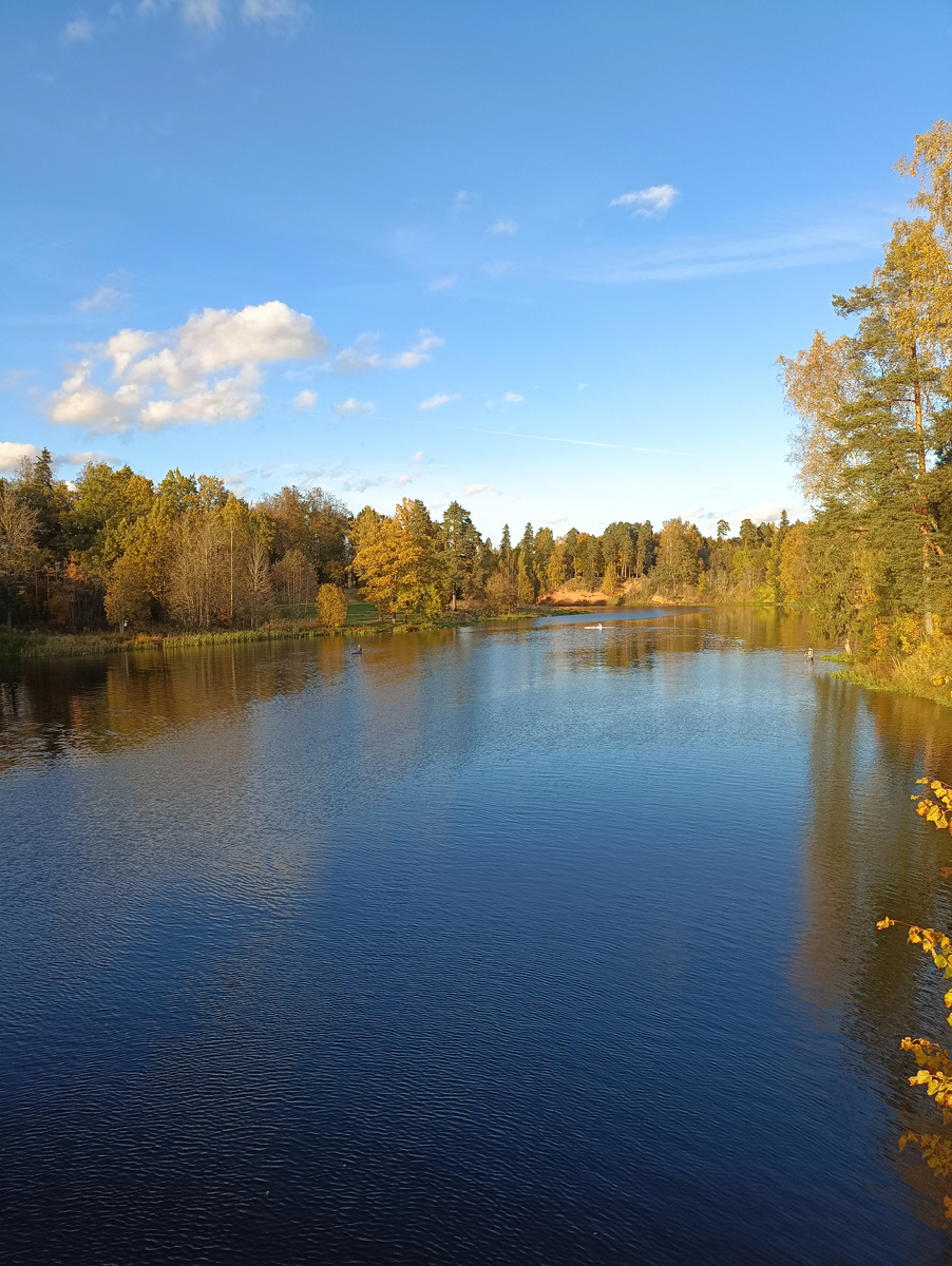 Октябрь. Самая настоящая золотая осень. Всё в золоте! 