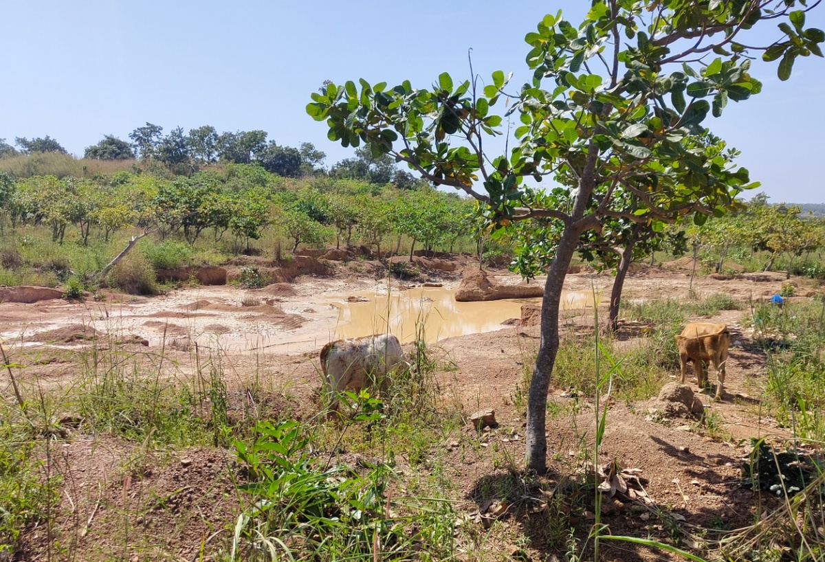 фото из архивов героя интервью