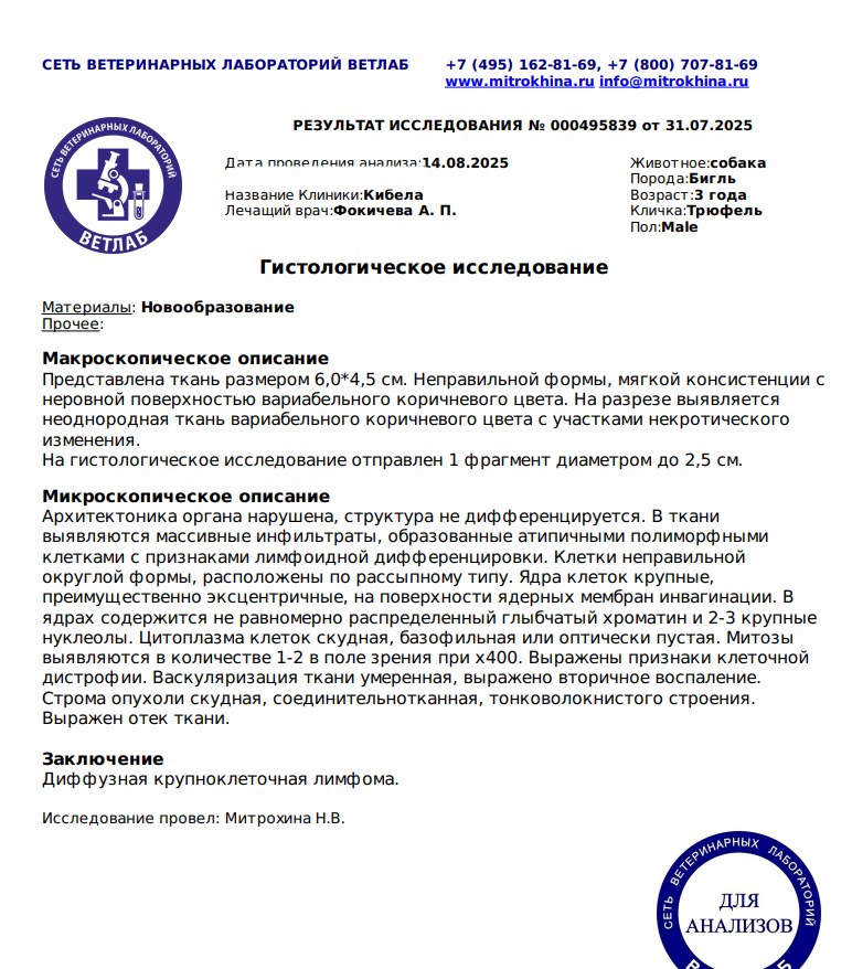 Первая гистология