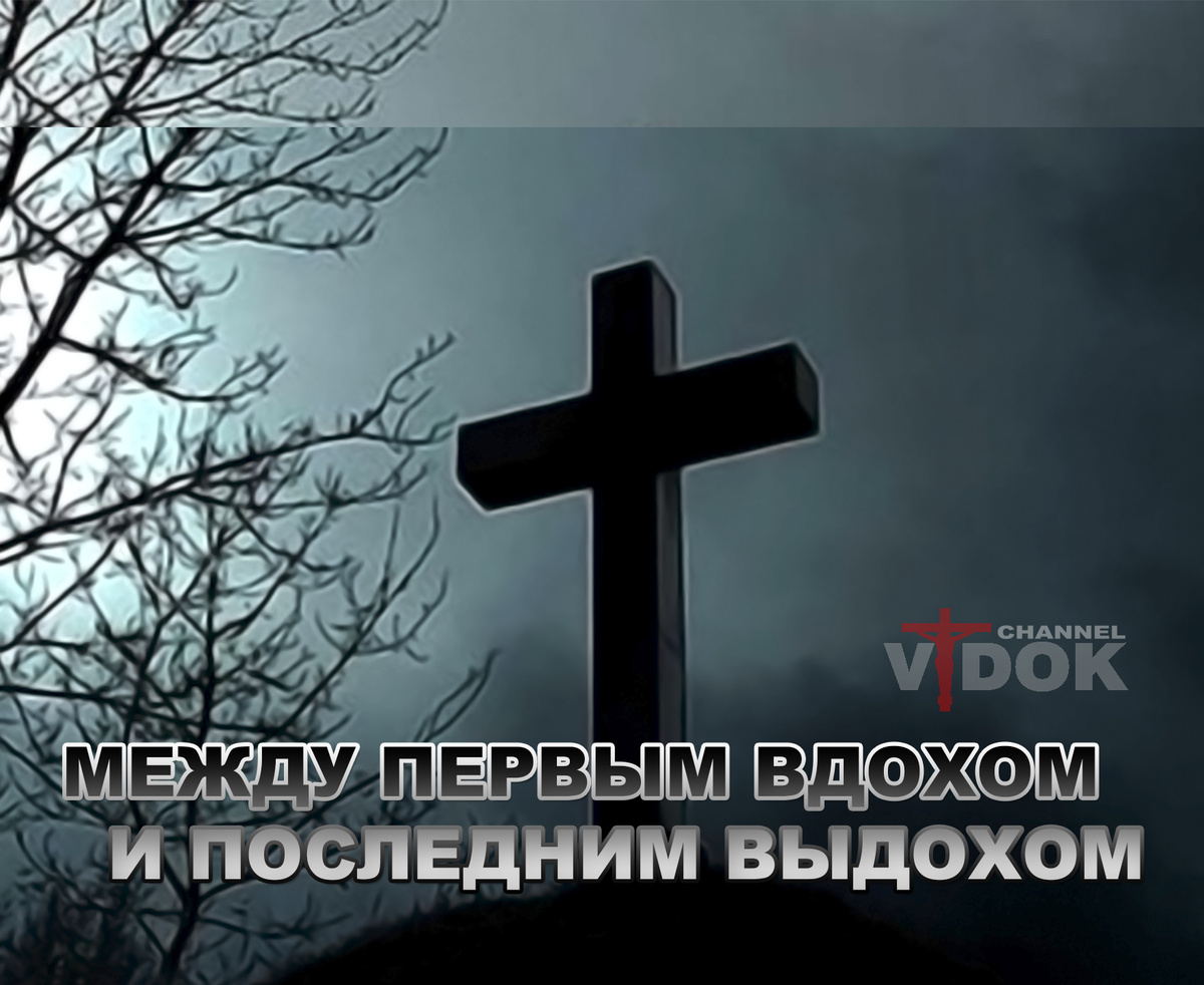 YOUTUBE КАНАЛ "VIDOK"