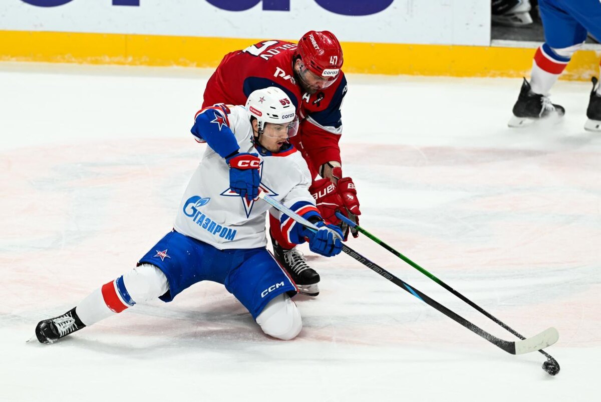    Фото: t.me/hcska