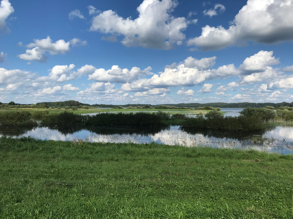 Красоты Михайловского. Фото автора 