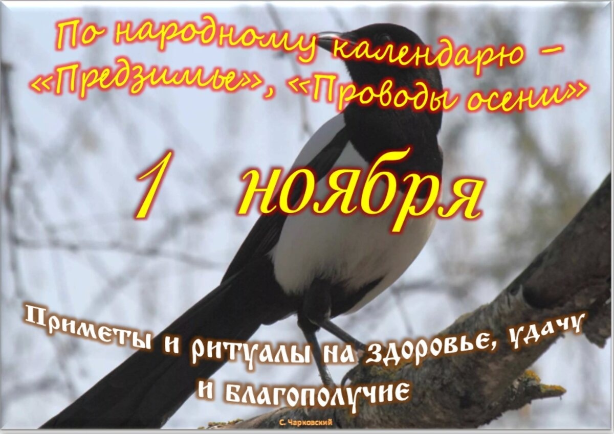 Встречаем новый день