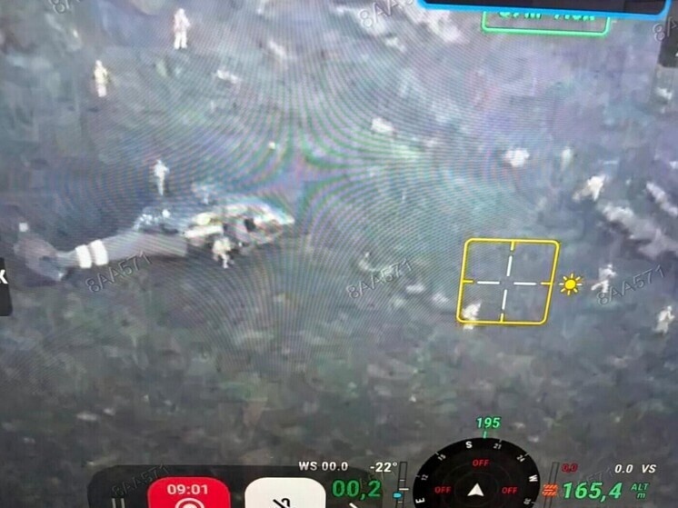     Фото: кадр из видео Оливера Кэрролла.