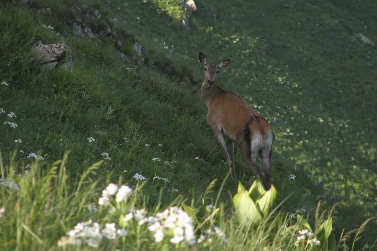    Подготовка к зиме.