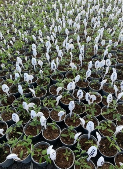  Что вам напоминает это?  