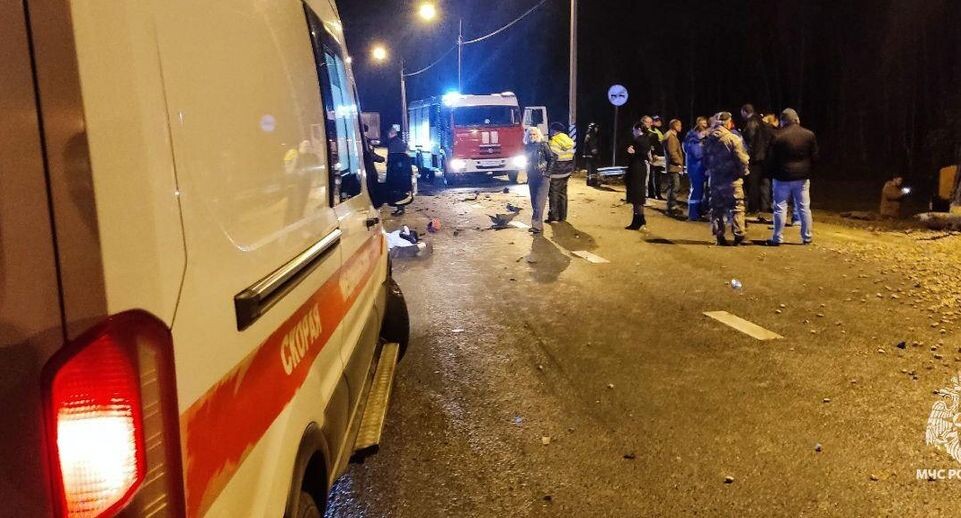    Пресс-служба МЧС России по Орловской области / Telegram