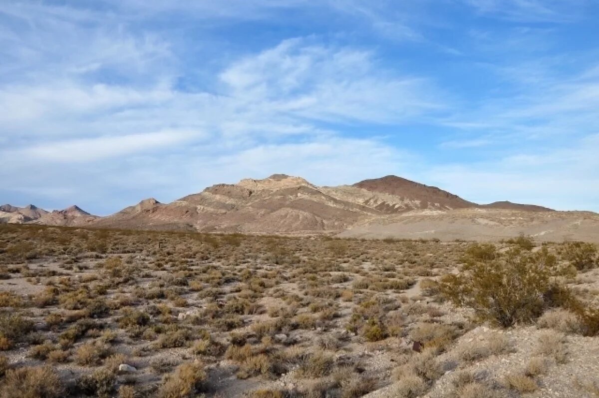    В пустыне Невады нашли более 300 человеческих останков