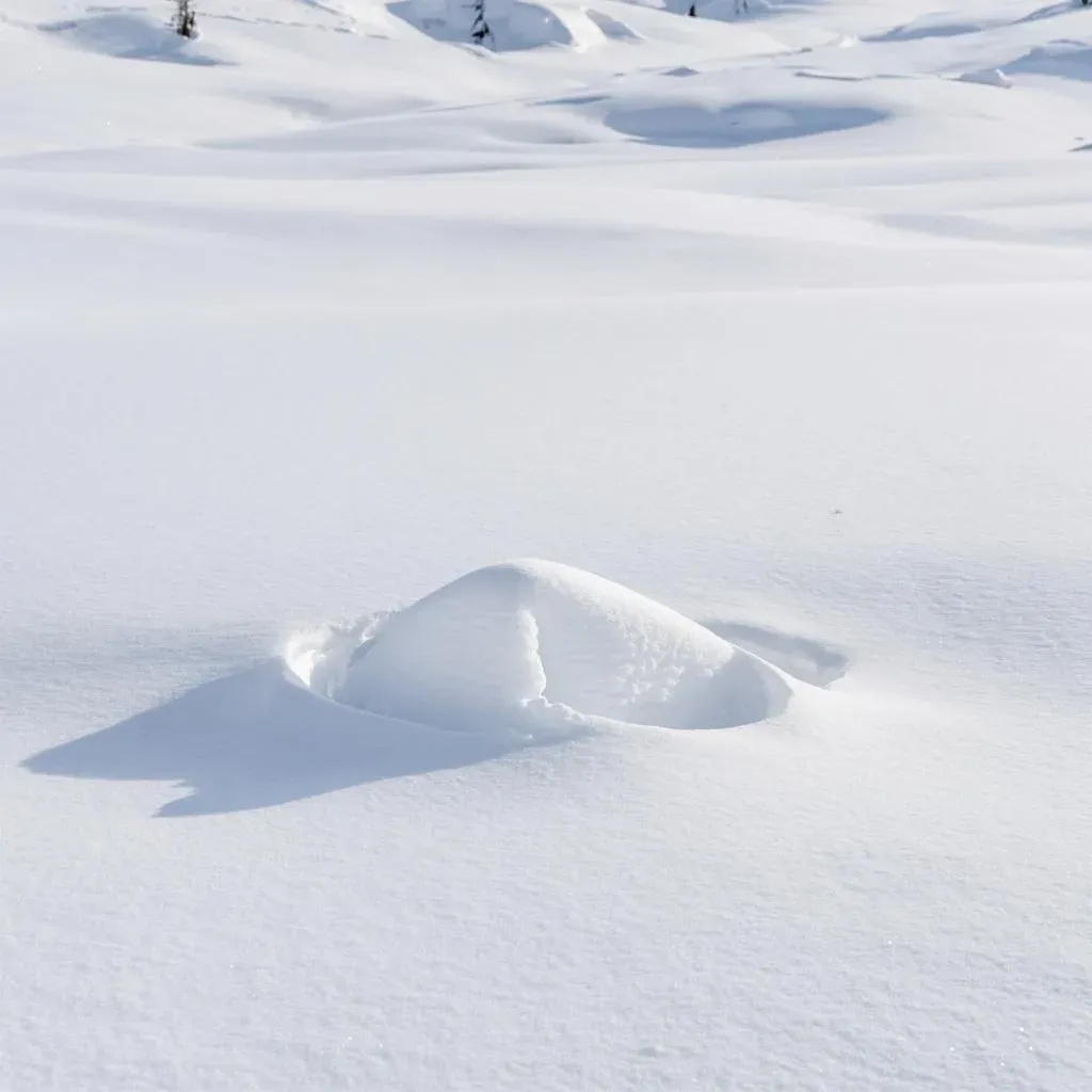 Вязаные пушистики на конкурс: когда хочешь снег, а сугроба всё нет 😉🧤❄️Привет-приветик-всем🌟 Сегодня расскажу вам историю одной пары милых шерстяных друзей, отправившихся покорять вершину конкурса по вязанию носочков на тему "Сугроб".Представьте себе уютный вечер, чашечку горячего чая и пару волшебных спиц, которые творят чудо прямо перед глазами... А теперь представьте эти самые носки: белые-белые, словно свежевыпавший снежок после тихого зимнего утра. Изнутри мягкие и тёплые, будто лапки котёнка 😺 Их захочется надеть сразу же.Но самое главное — сюжет! Эти носочки сами рассказывают нам целую историю зимы. Сначала мы видим маленькие пушистые комочки, которые катятся куда-то вдаль по снежной дорожке. Затем взгляд останавливается на крошечных отпечаточках зайчика, бегущего навстречу весёлым приключениям ⭐ Но самый пик сюжета спрятался внутри каждого носочка: стоит только посмотреть внимательно, и вы увидите очаровательного снеговичка, выглядывающего наружу через отверстие большого пальца 👀👍Ну разве не прелесть? Разве можно устоять перед таким очарованием зимней поры?Итак, мои дорогие друзья, кто ещё мечтает поучаствовать в конкурсе и поделиться своими шедеврами? Делитесь вдохновением в комментариях ниже 💬✨ Уверена, вместе мы создадим настоящую зиму, даже если её пока не видно за окном! ✨😊