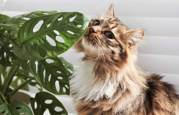 Фото на обложке: Pinterest