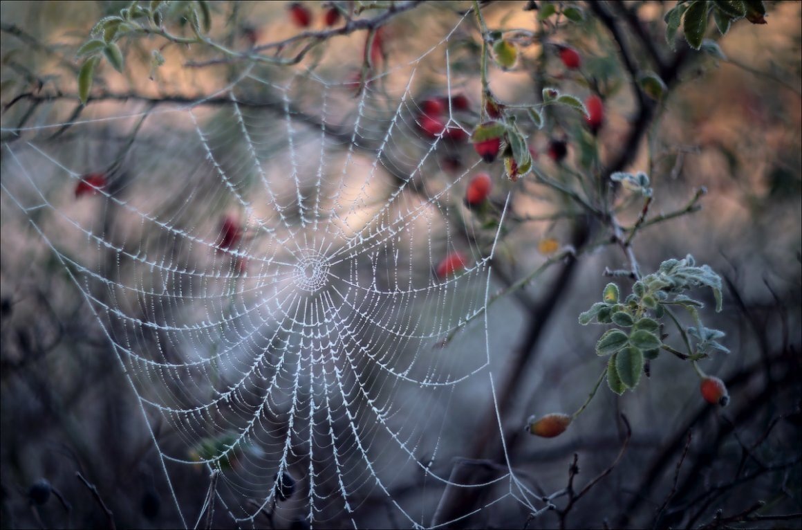 Изображение из открытых источников