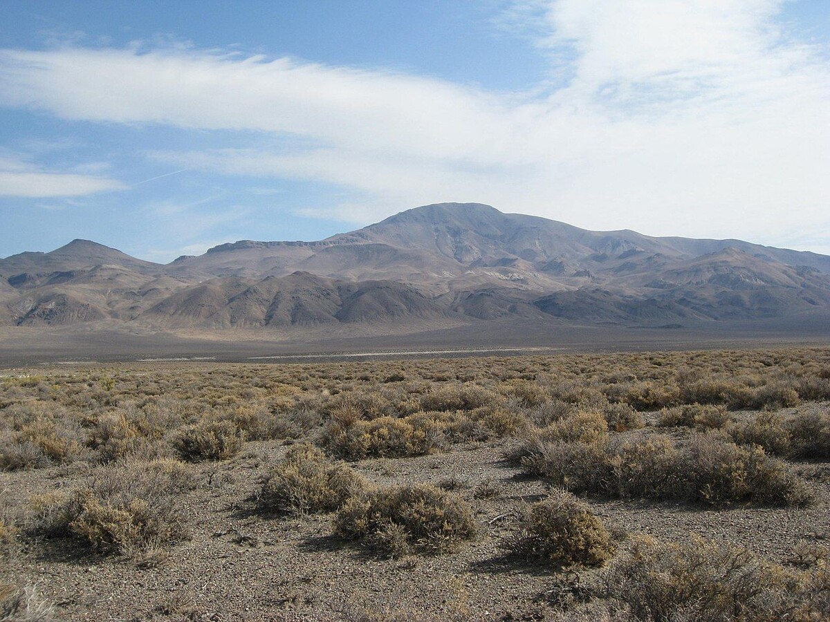     / Источник: (сс) brewbooks