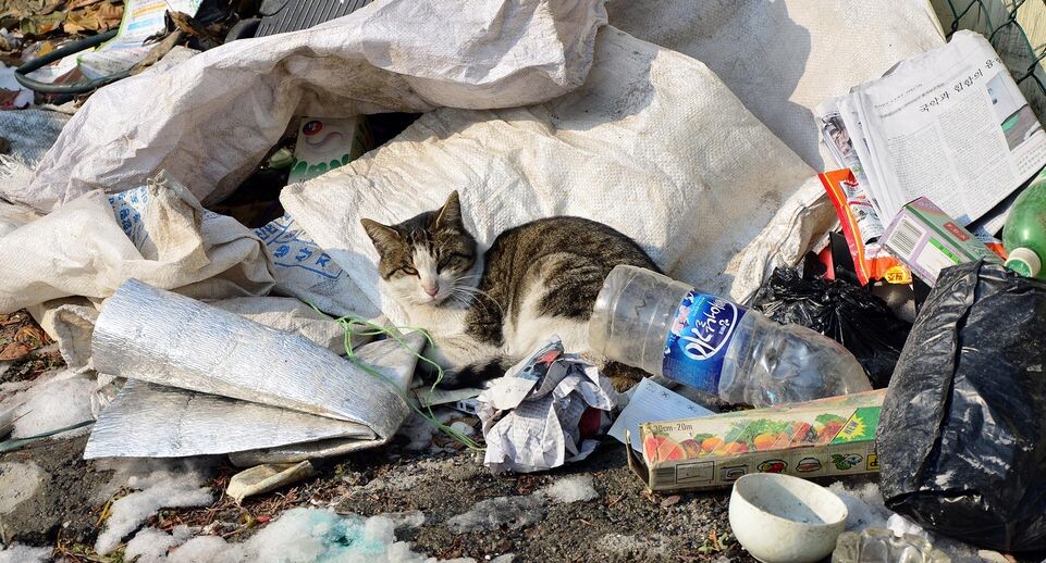    Thomas Michael Corcoran/ZUMAPRESS.com / www.globallookpress.com