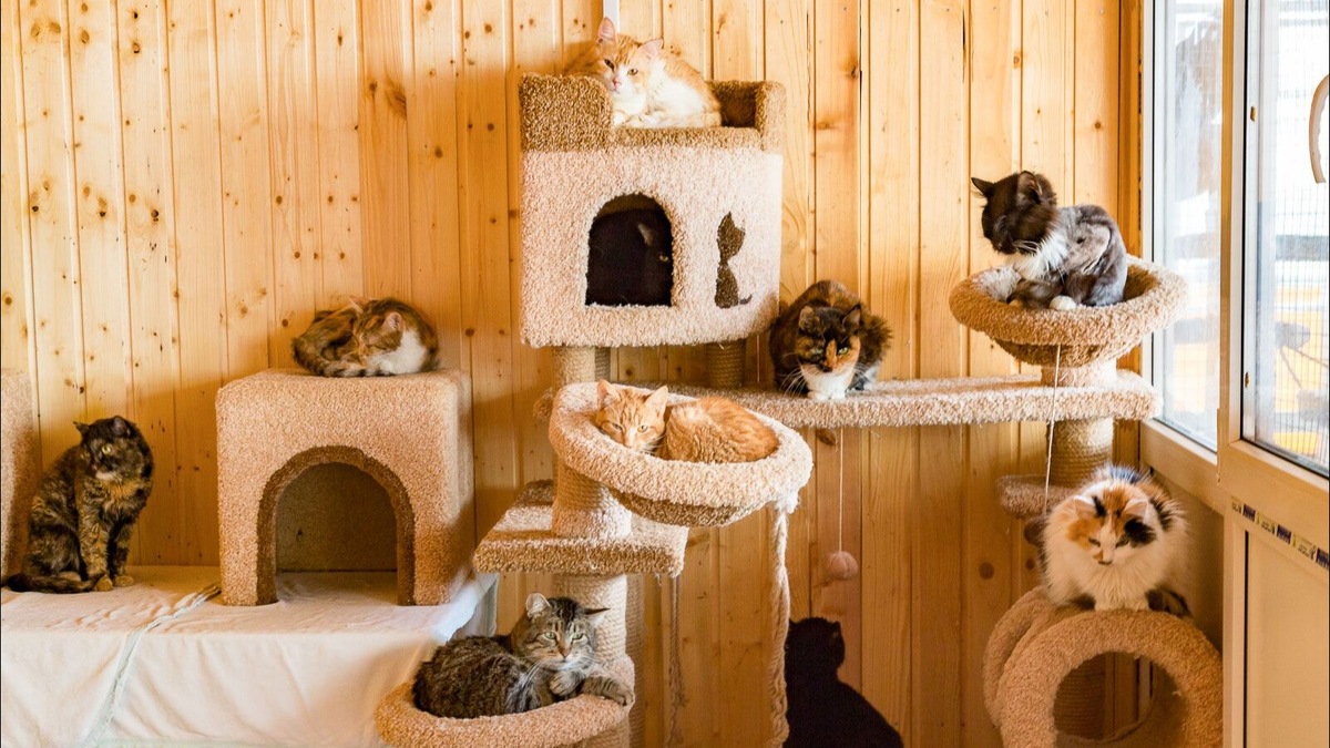 Фото: пресс-служба комплекса городского хозяйства Москвы