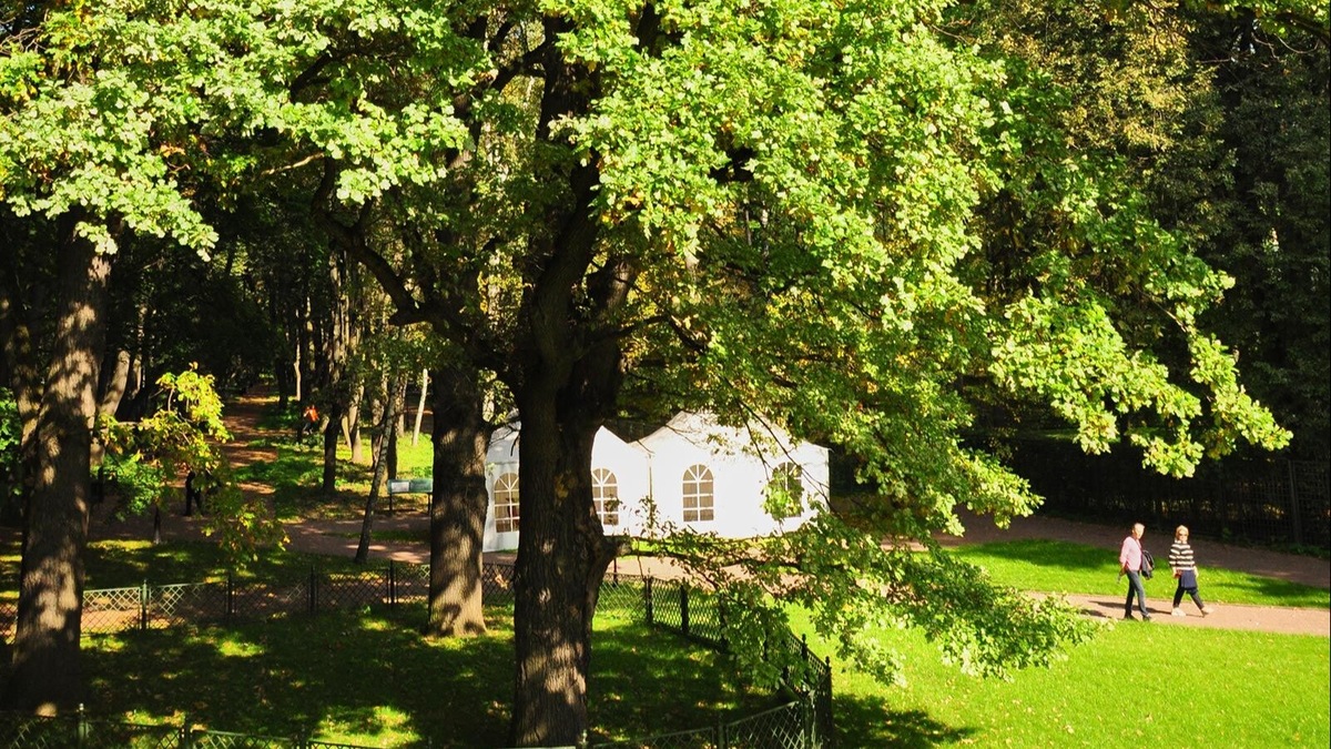 Источник: mos.ru