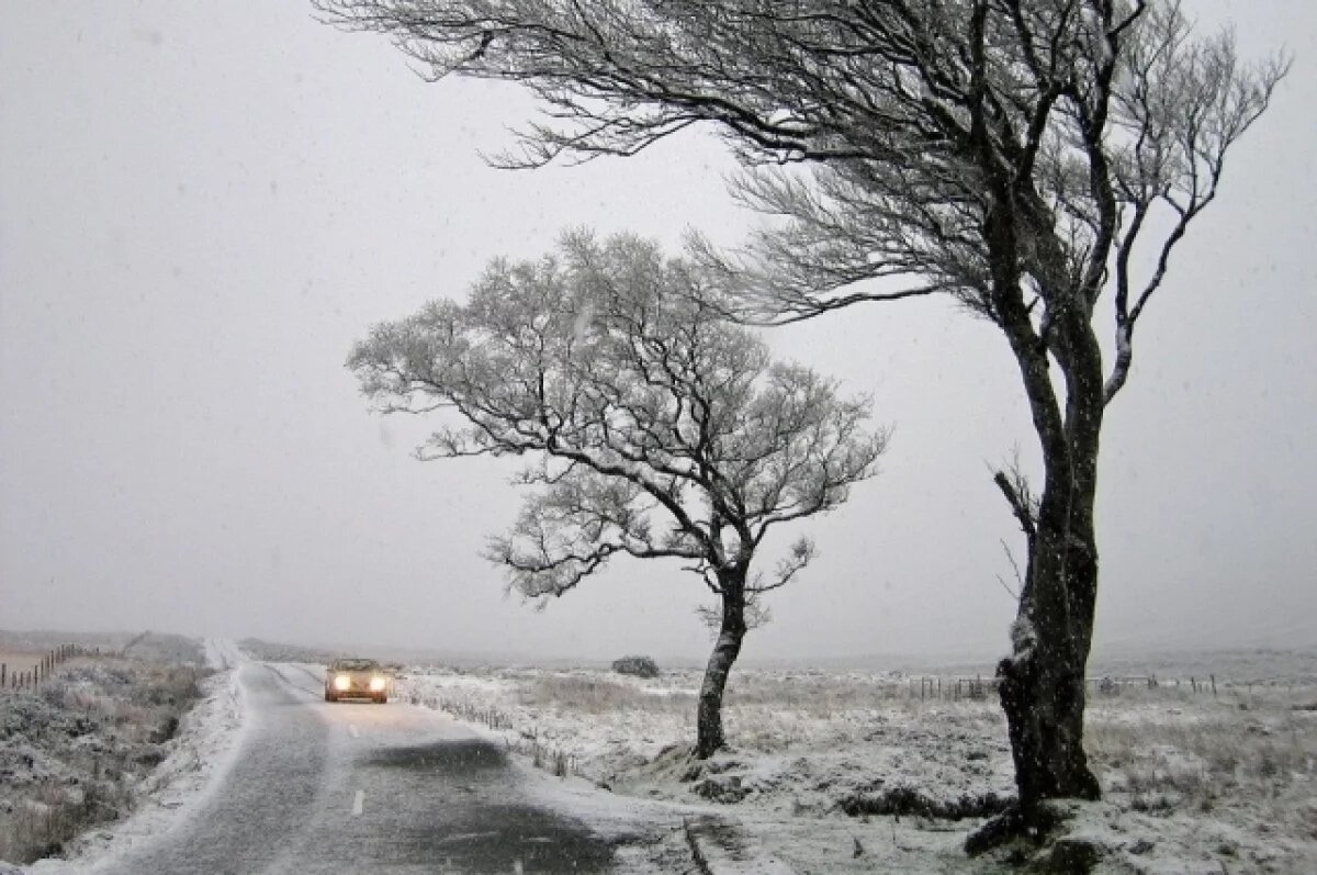    Резкое похолодание и шторм ожидают Новосибирск с 1 ноября