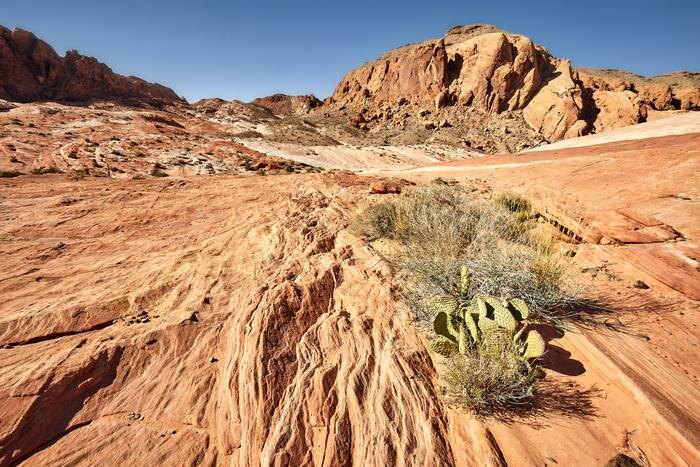 Обложка © Freepik / wirestock