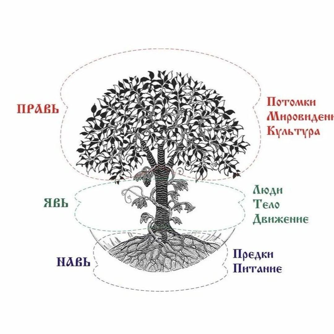 Изображение взято из открытых источников.