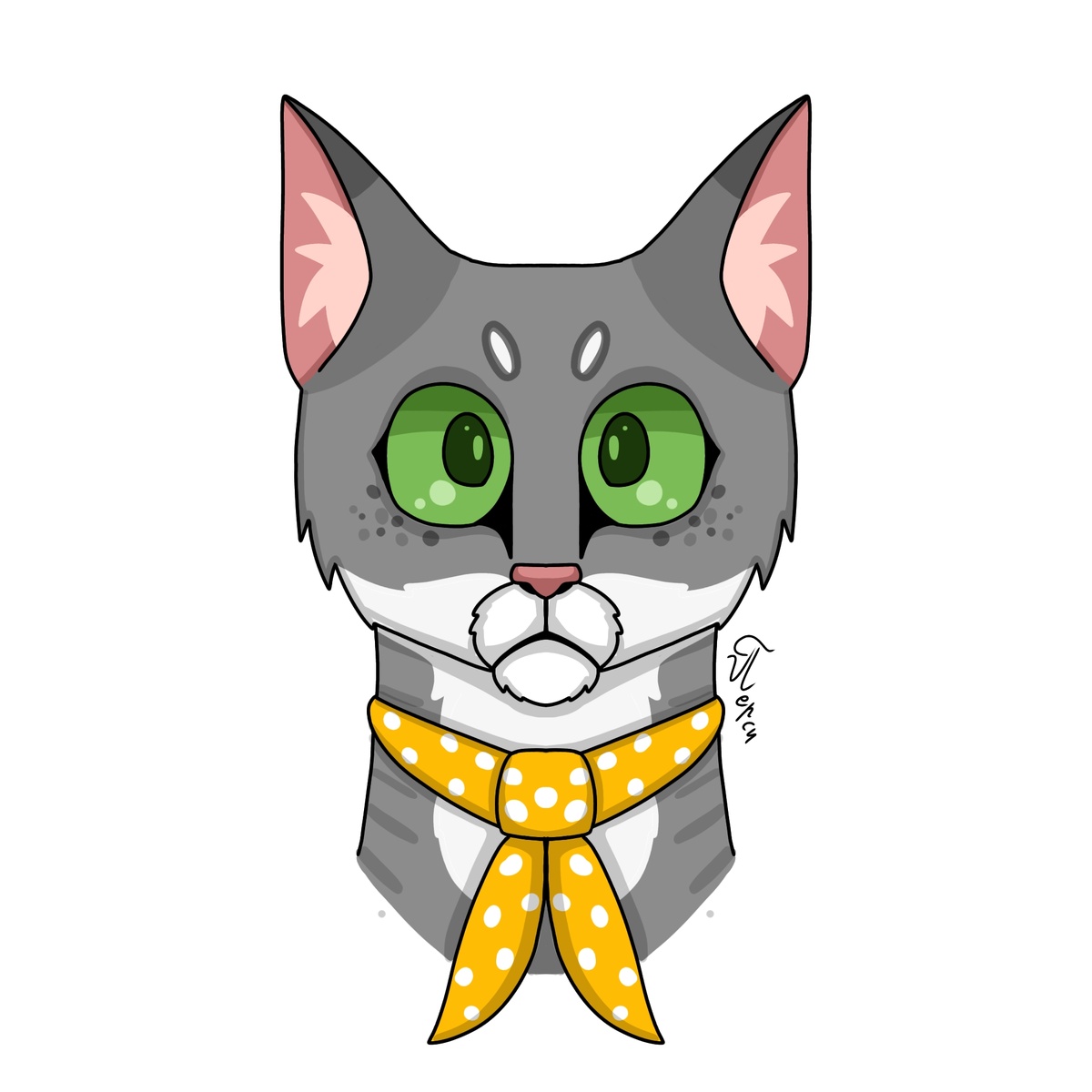 Вот вам зеркалка для обложки. Я знаю, кто возможно будет шутить по этому поводу а комментариях))