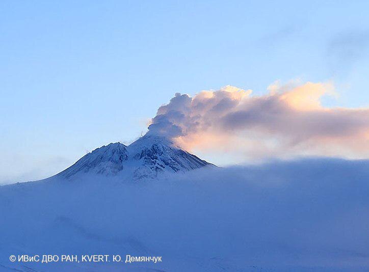 Фото: Юрий Демянчук, ИВиС ДВО РАН (архив)