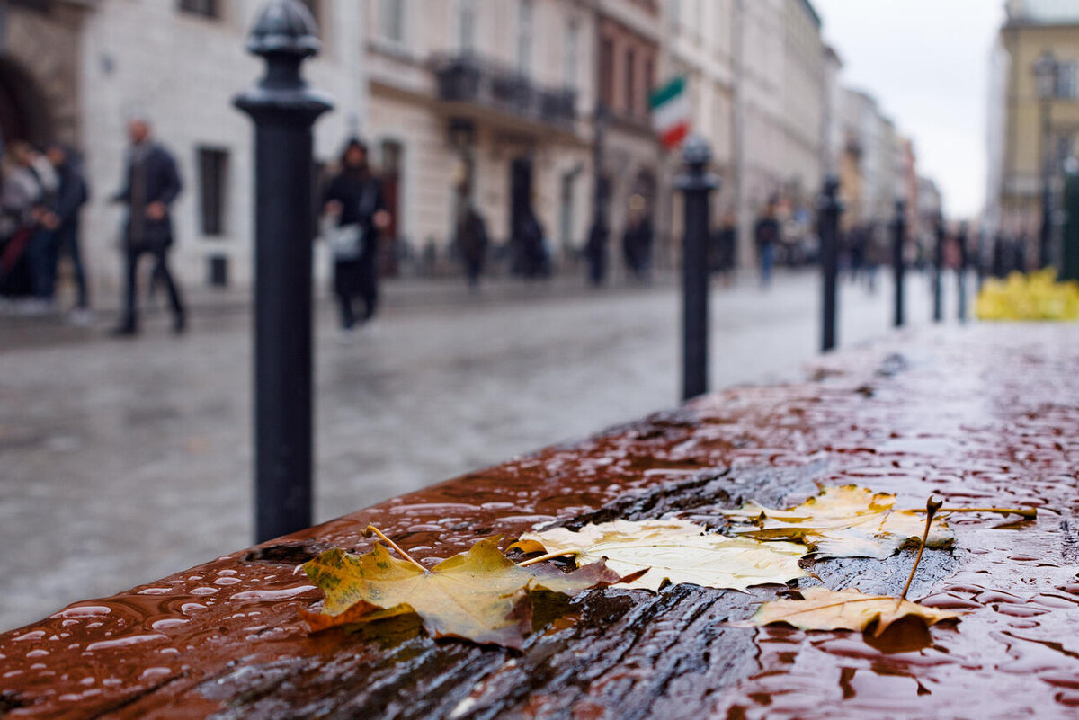    Осень 123RF/legion-media.ru