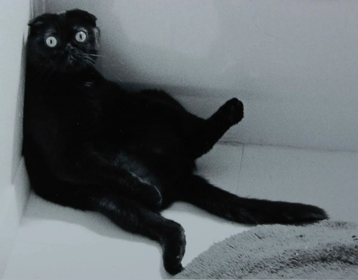 -Доктор, хватит меня ловить! Я - здоров! Ну, пятый раз за день! Ну, чес слово!