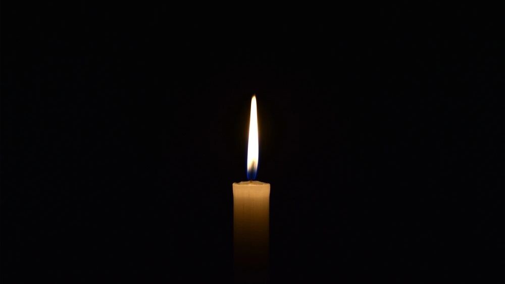    Фото: Dmitriy Yermishin/Shutterstock/Fotodom