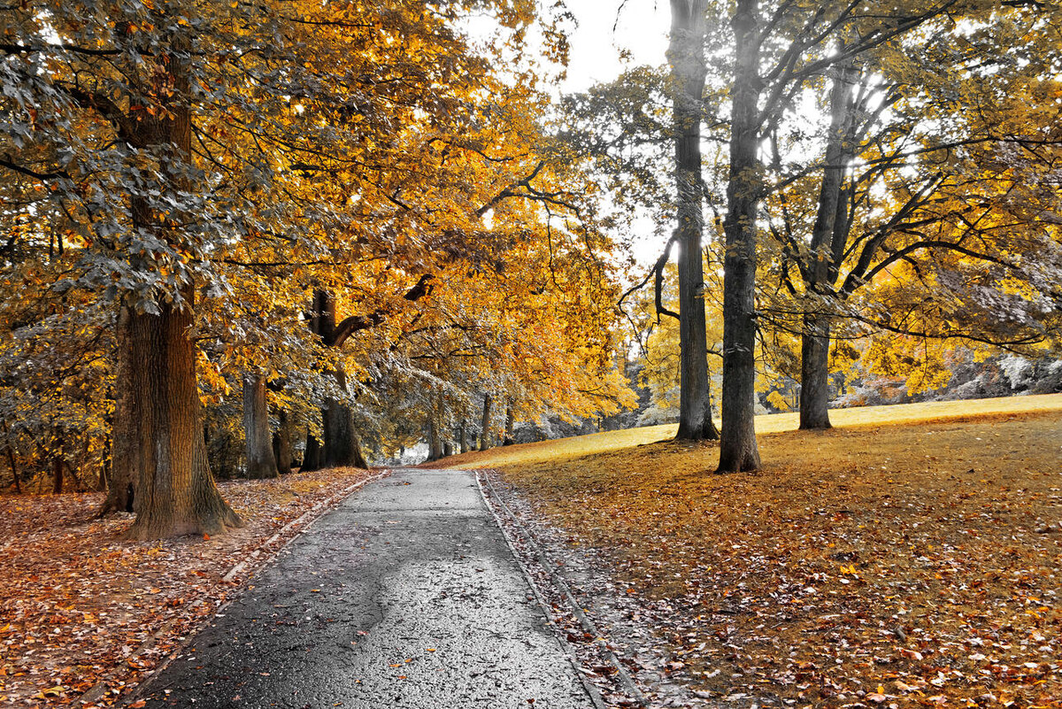    Осень 123RF/legion-media.ru