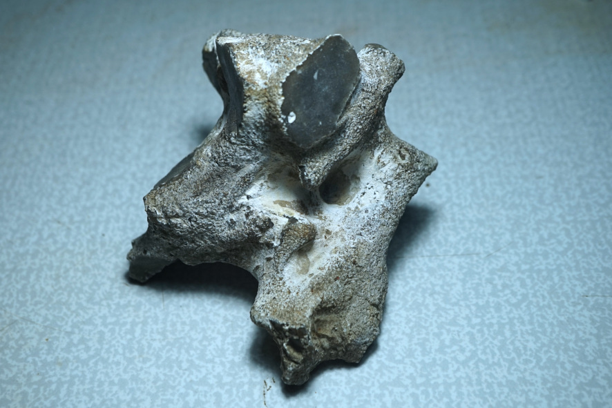 Лучший вариант сырья, такой кремень только пилить.