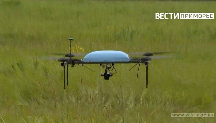    Источник фото: тематическое