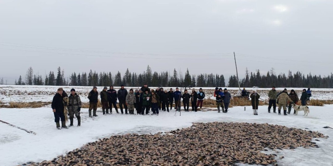 Что говорят народные приметы о погоде в ноябре