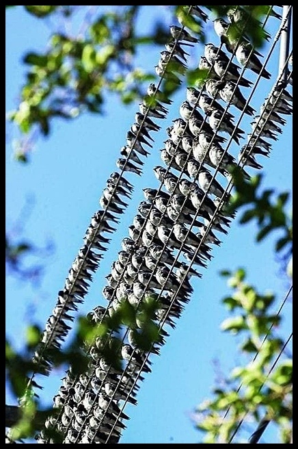 Фото взято из открытого источника