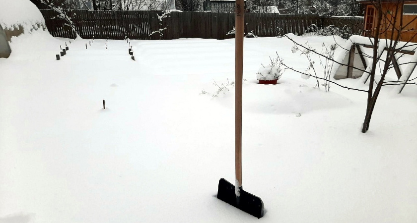    Удобрения больше не покупаю: беру 3 крупы и раскидываю прямо по снегу - земля весной как после тонны навоза