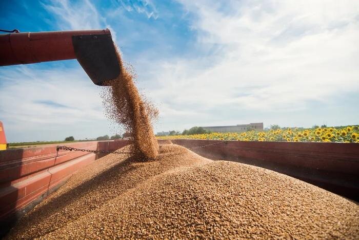 Обложка © Shutterstock / FOTODOM / Dusan Petkovic