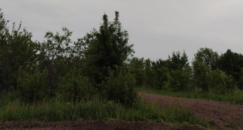    Морозы наступят резко и без стука: Вильфанд назвал точную дату похолодания