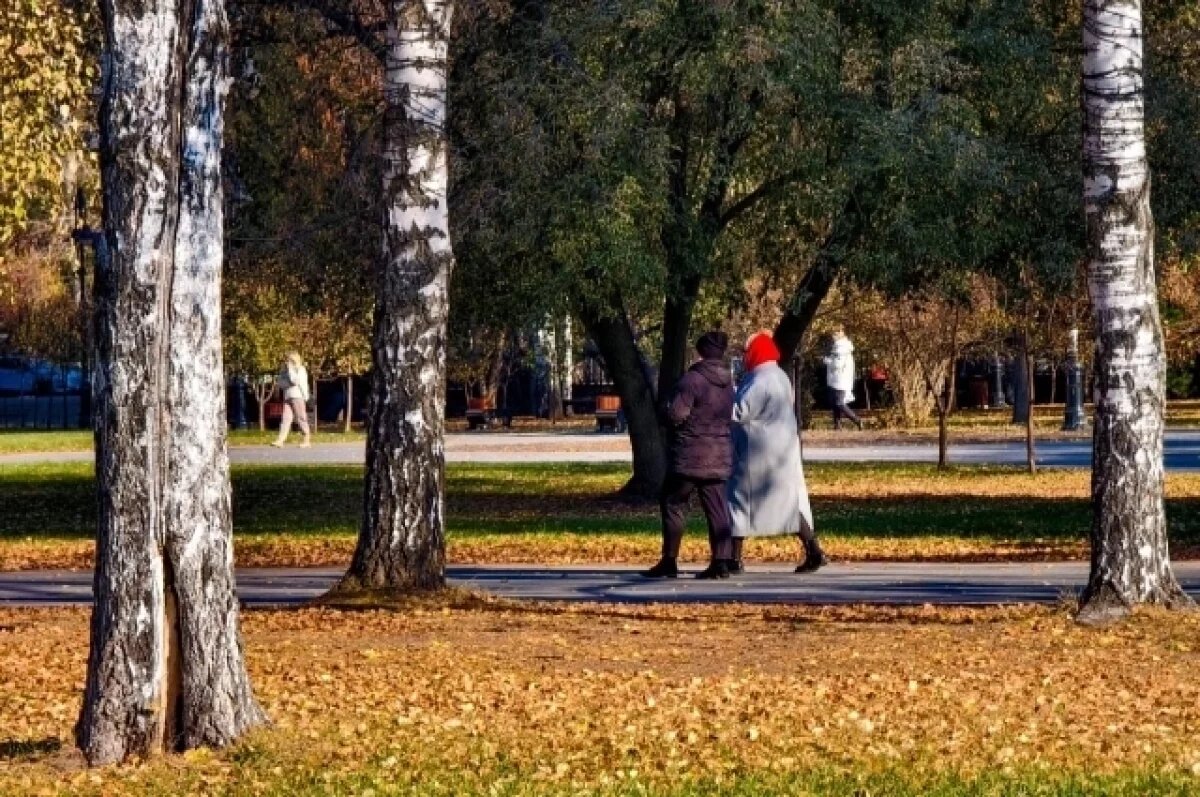    Какие законы изменятся для томичей с ноября 2025 года