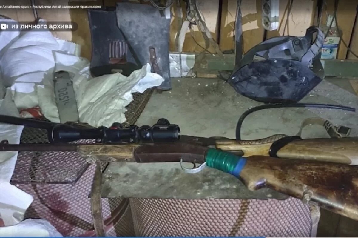    Браконьеров, убивших косулю, поймали с поличным в Алтайском крае