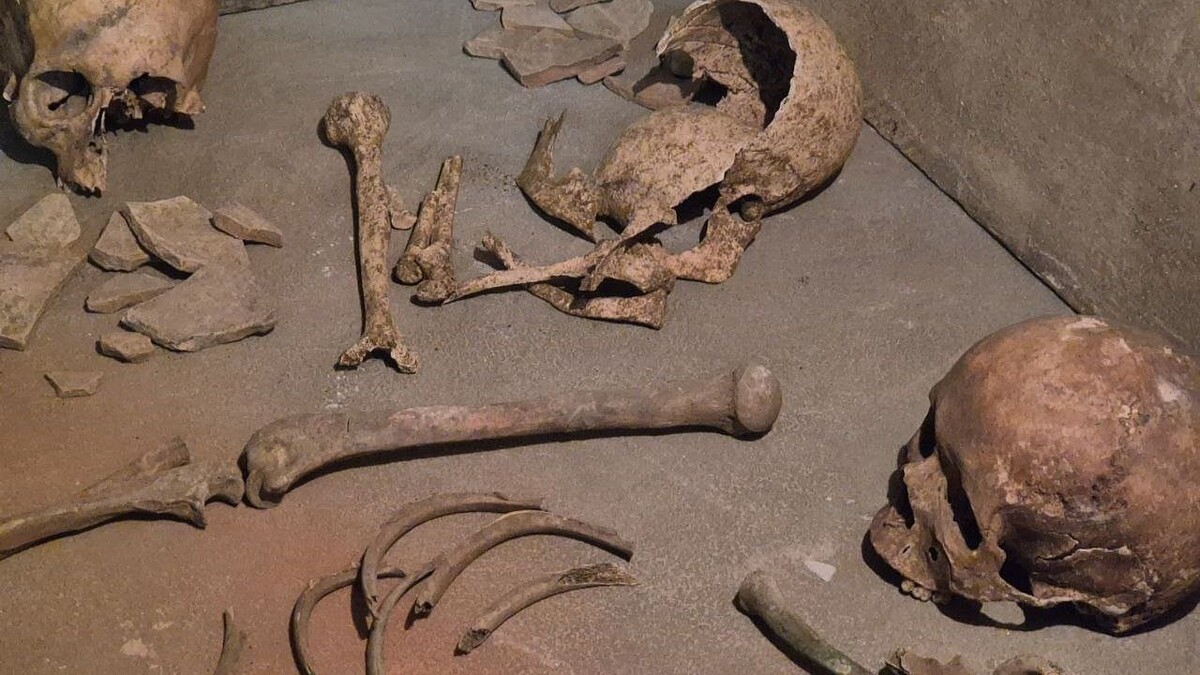    Фото: телеканал «Краснодар»