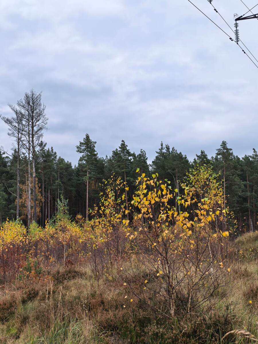 фото Татьяны Смирновой.