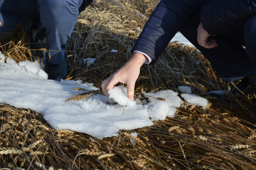   Фото: администрация Искитимского района