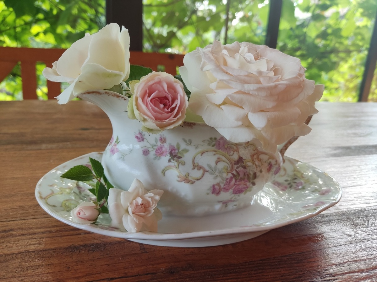 Соусник: летом ваза, зимой - кашпо для выгонки луковичных