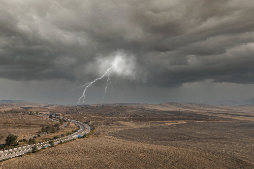    Фото: freepik. com